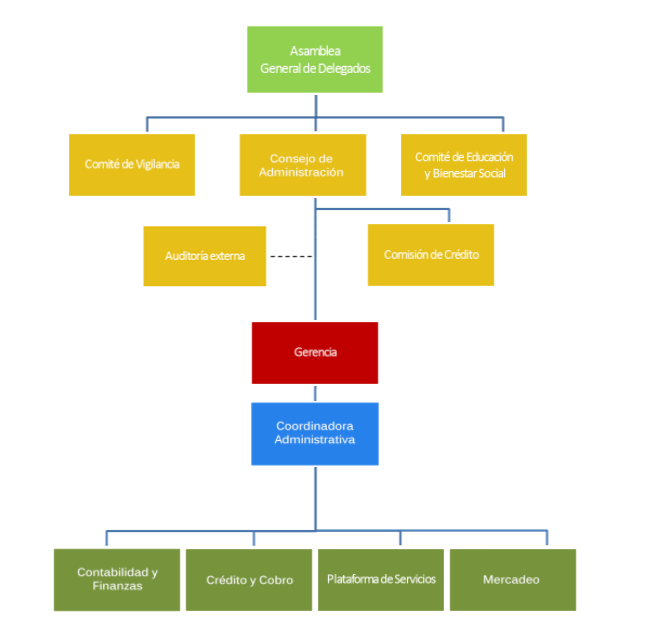 Estructura Organizativa