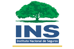 Logo INS